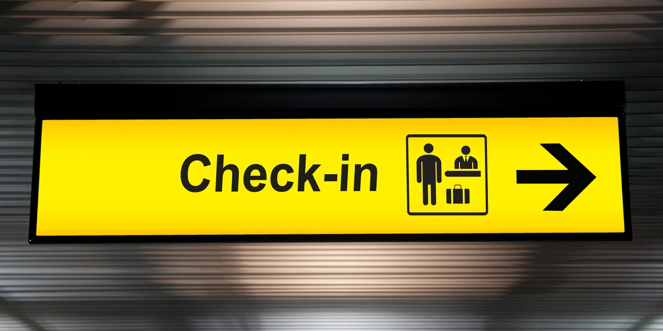 Lost and found картинки. Lost and find. Lost and found оливер джефферс. Lost and found. Loose icon.