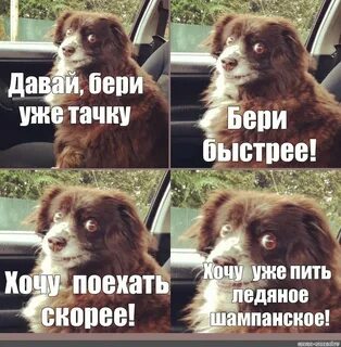 Включи давай на главную