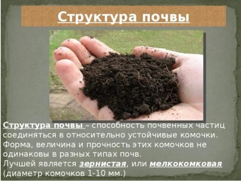 Грунт является
