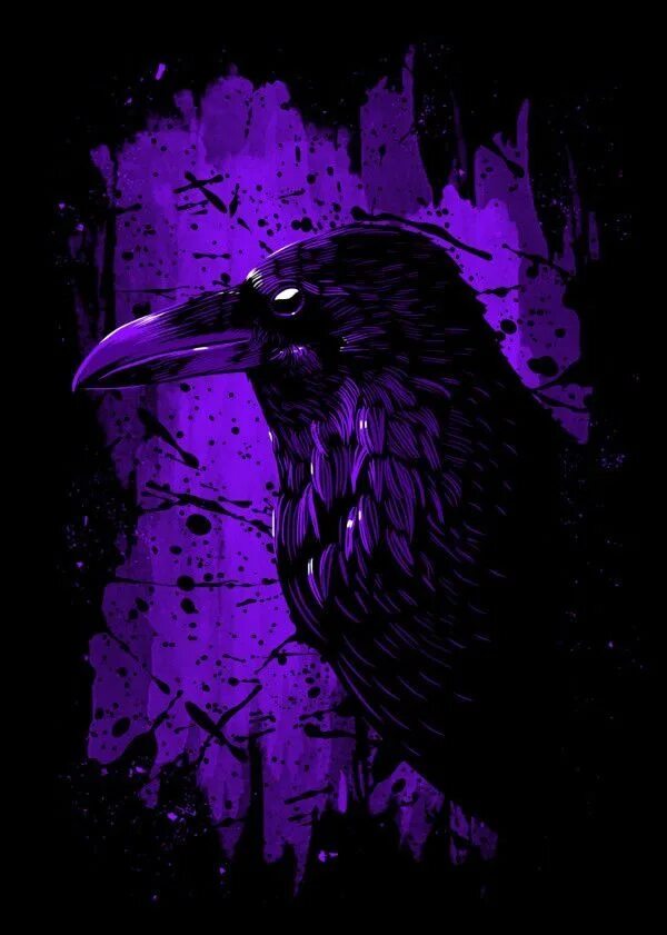 Фиолетовый ворон. Ворон арт. Фиолетовая ворона. Ворон с фиолетовыми глазами. Crow steam