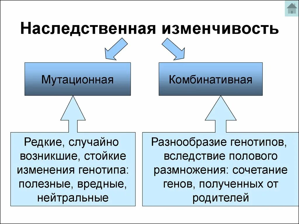 Стойкое изменение генотипа. Комбинативная наследственная изменчивость. Комбинативная изменчивость и мутационная изменчивость. Наследственность типы мутационная. Наследственная изменчивость мутационная и комбинативная примеры.