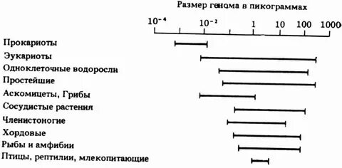 Пикограмм