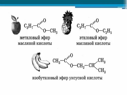 Представители сложных эфиров