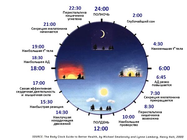 Сколько до 22 июня 2024