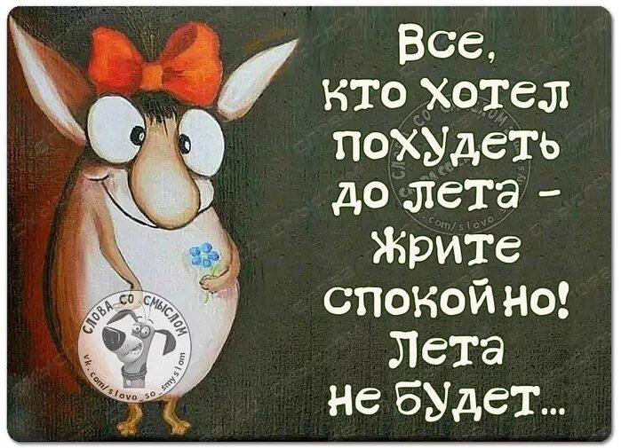 От лета не против. Все кто хотел похудеть до лета жрите спокойно лета не будет. Жрите спокойно лета не будет. Жрите спокойно лета не будет картинки. Жрать Летов.