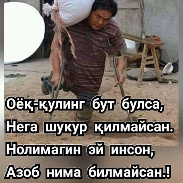 Шукур килинг. Шукрона. имя шукрона. шукур картинки.