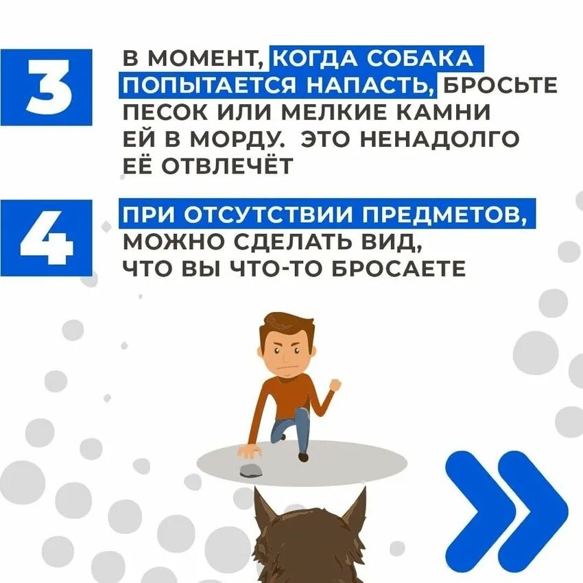 Что делать при нападении. Памятка при встрече с бродячими собаками. памятка при нападении собаки. памятки от бездомных собак. памятка как вести себя с бродячими собаками.