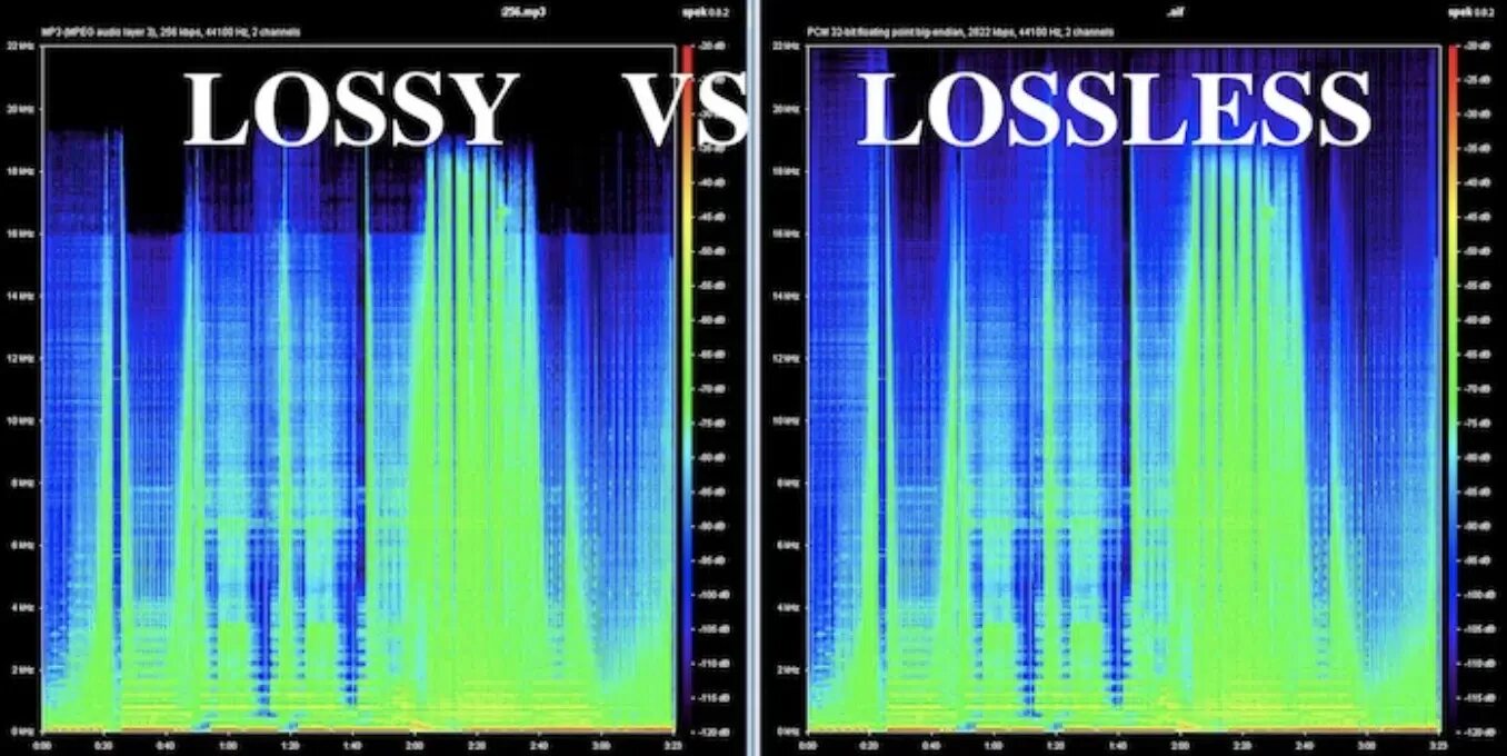 Flac формат 1000. Lossy и lossless что это. Спектрограмма mp3 и FLAC. Lossless запись. Lossless Audio.