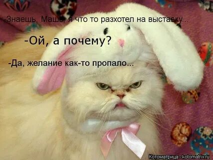 Ой да хорош мне тыкать в морду