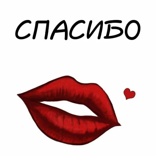 Благодарю целую