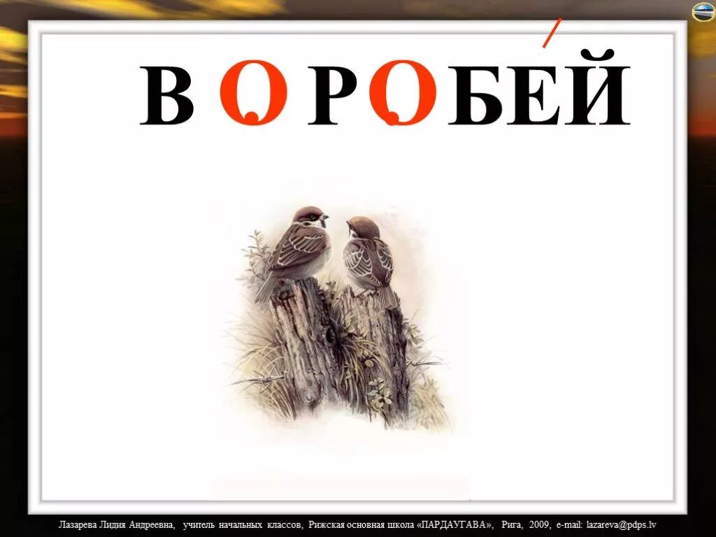 Предметы отвечающие на вопрос кто. Била и клепала. Презентация вставь правильную букву. Р било. Р било.