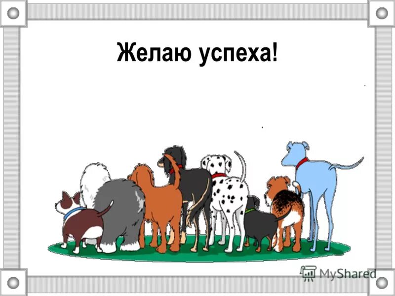 Собака и человек 1 класс. Рисунок на тему собака друг человека. Плакат о собаке друге. Собака друг название. Плакат собака друг человека.