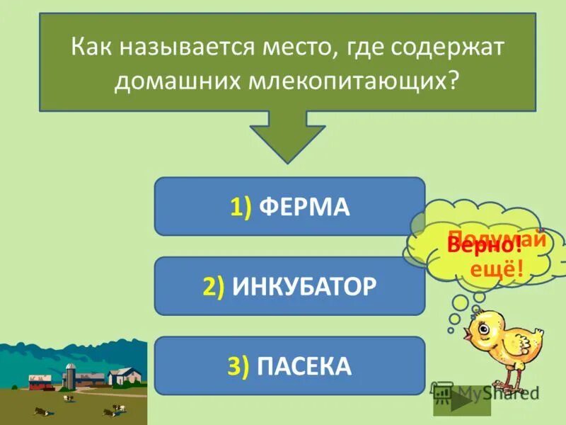 спецприёмник административно задержанных сахарово москва. ик 13 мордовия. где содержат место. спецприёмник для административно задержанных. сизо 2 фсин лефортово.
