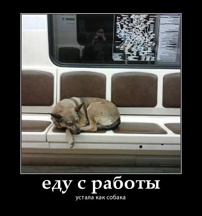 Ехал уставший домой