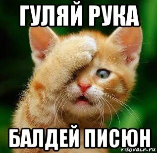 Карась дуреет от этой осенней прикормки! Прикормка для карася в сентябре своими 