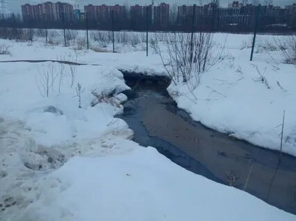Ручьи девяткино