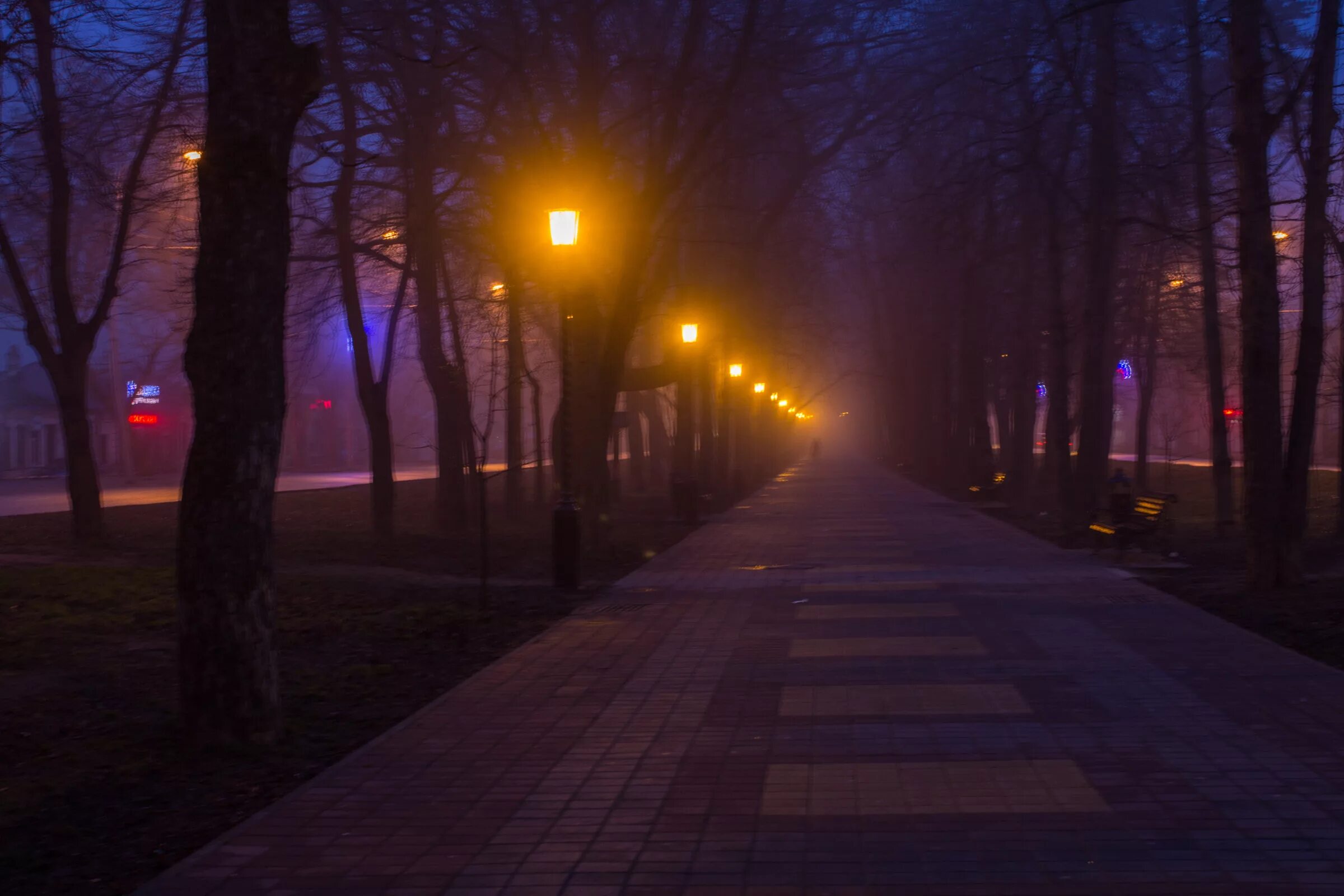 1 45 ночи. Ночной парк. Вечерний парк. Ночная улица с фонарями. Вечер улица фонарь.