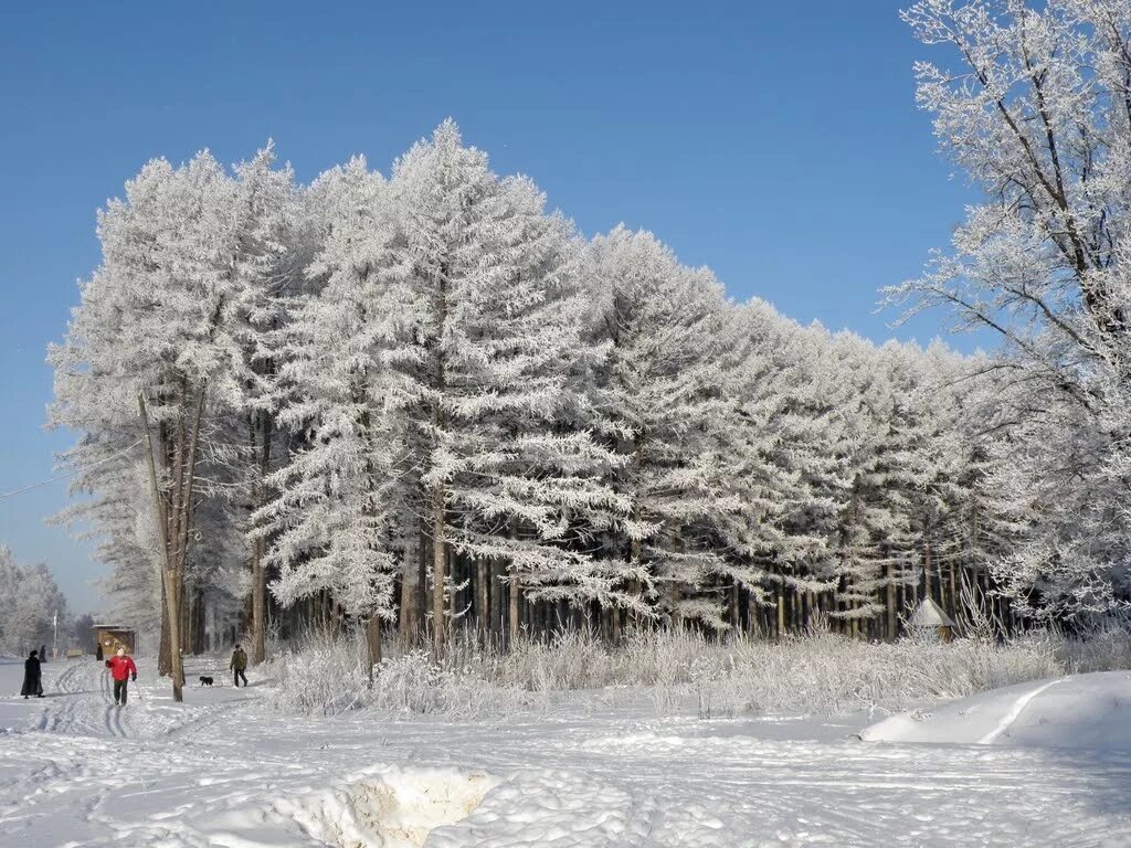ротонда новомосковск тульской области. зимний новомосковск тульской области. зимний новомосковск тульская область. зимний новомосковск тульской области. зимний новомосковск тульской области.