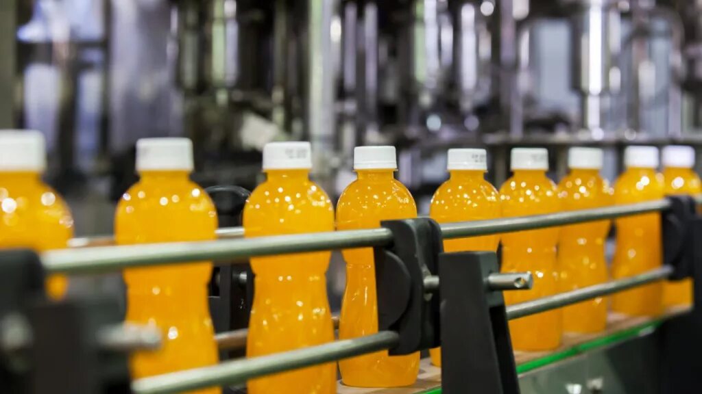 Сырье для напитка. Сырье для напитка. Сырье для напитков. Индийский крыжовник амла. Апельсиновый сок из 4 апельсинов.