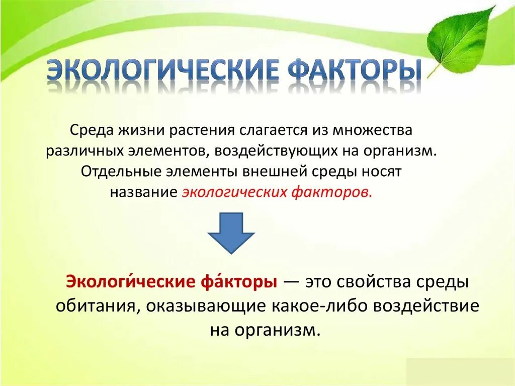 Влияние экологических факторов на растения. Среды жизни и экологические факторы. Реакции растений на факторы окружающей среды. Экологические факторы это в экологии.