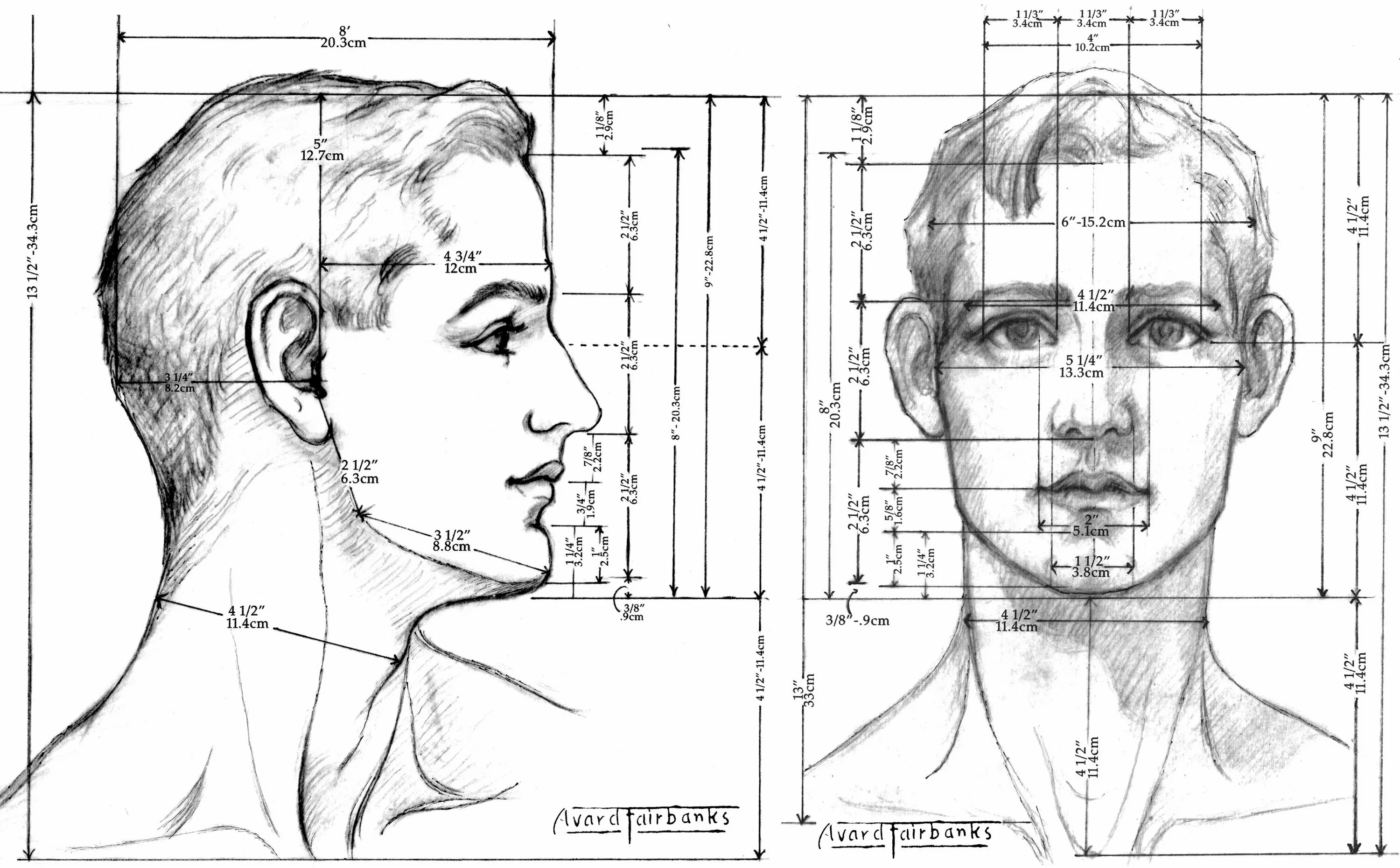 У взрослого человека голова занимает. Схема головы человека в профиль и анфас. Пропорции портрета человека профиль. Пропорции головы человека анфас. Рисунок головы человека в профиль и анфас.