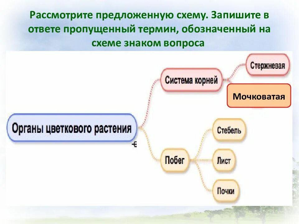 Запишите пропущенный термин о котором идет. Пропущенный термин, обозначенный на схеме знаком вопроса. Запишите пропущенный термин обозначенный на схеме знаком. Рассмотрите схему запишите в ответе пропущенный. Рассмотрите схему.