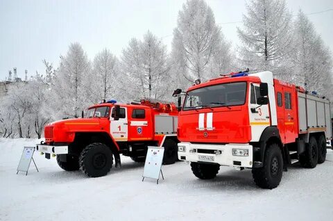 Пч м
