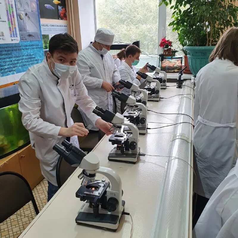 Кафедра гистологии сгму. Кафедра гистологии пспбгму. Кафедра топографической анатомии рязгму. Кокшунова людмила есиновна. Кафедра гистологии сеченова.