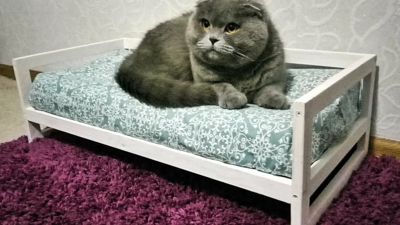 duktig bed cat Purchase - 60