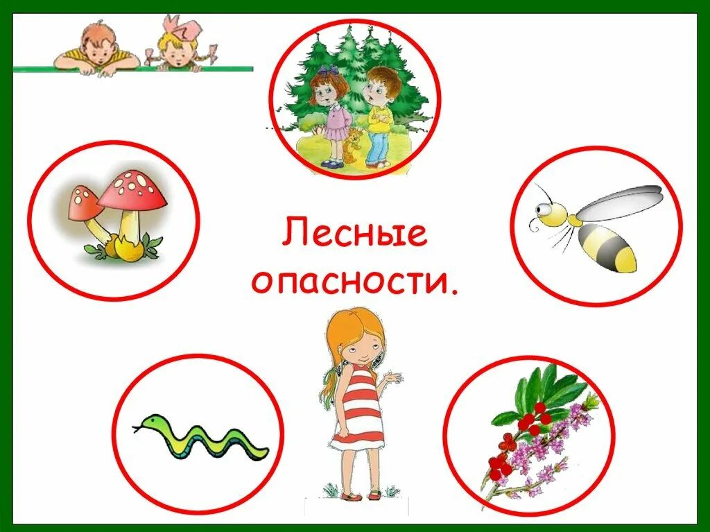 Какие опасности могут встретиться в лесу. Лесные опасности. опасности в лесу. знаки лесные опасности. тема лесные опасности.