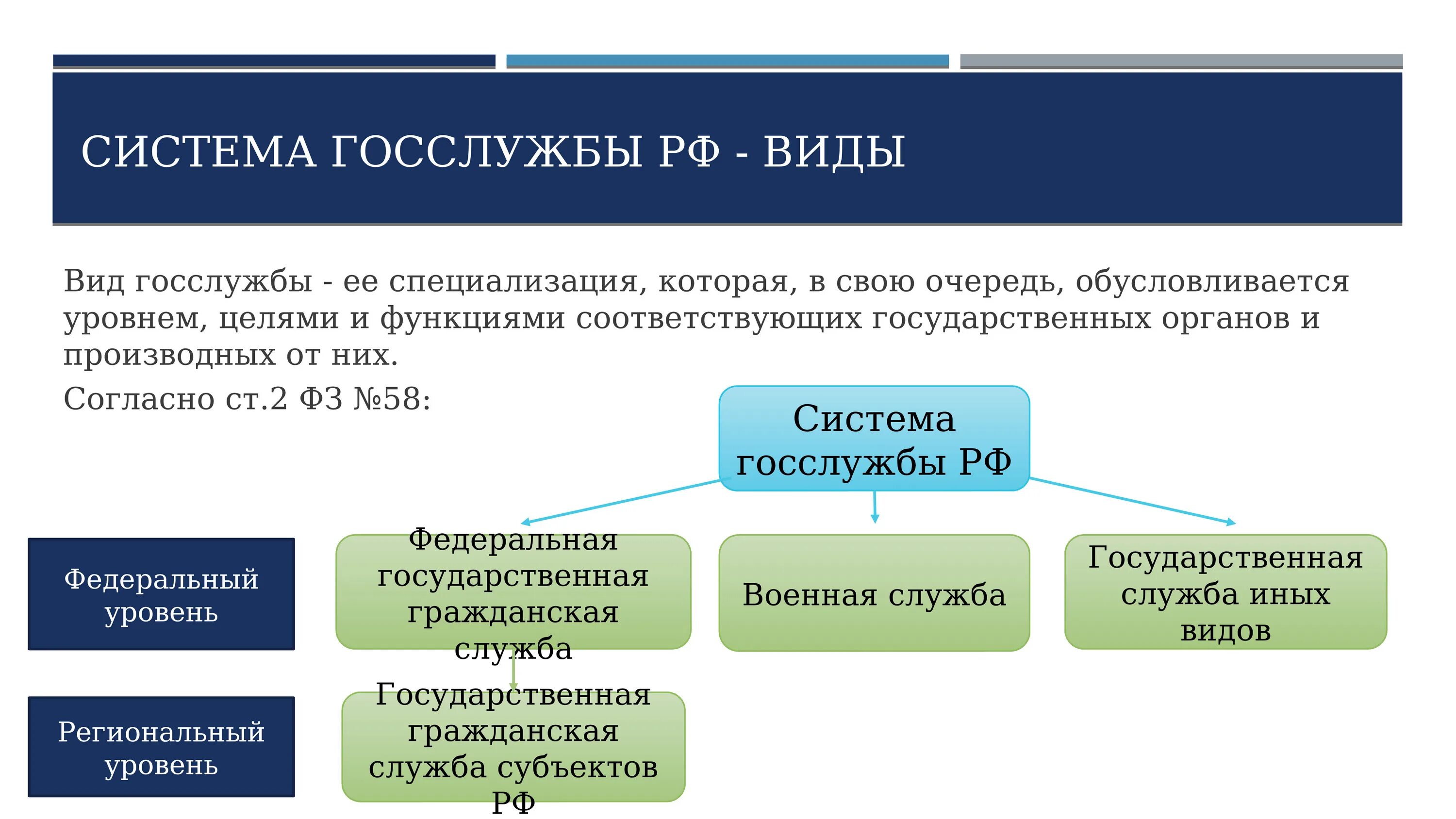 Развития системы государственной службы российской федерации. Система органов государственной гражданской службы РФ. Виды государственной службы. Понятие и виды госслужбы. Виды государственной службы РФ.