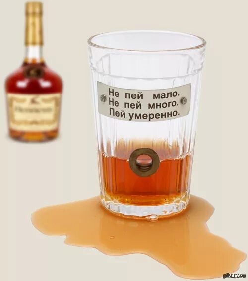 Шутки про анонимных алкоголиков. Много не пить. Шутки про вино. Я много пью и много знаю. Картинки для тех кто много пьет.
