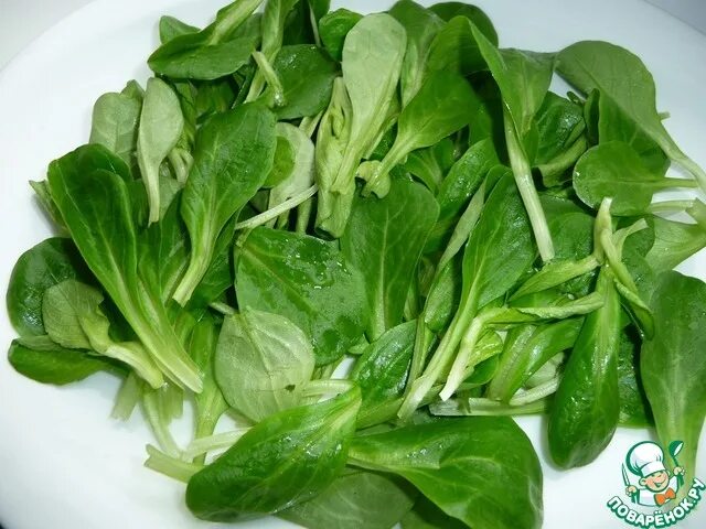 Салат с редиской и огурцом. Из ботвы редиса. Салат из редиски с рукколой. Салат из редиски со сметаной. Салат «зеленая лодочка».