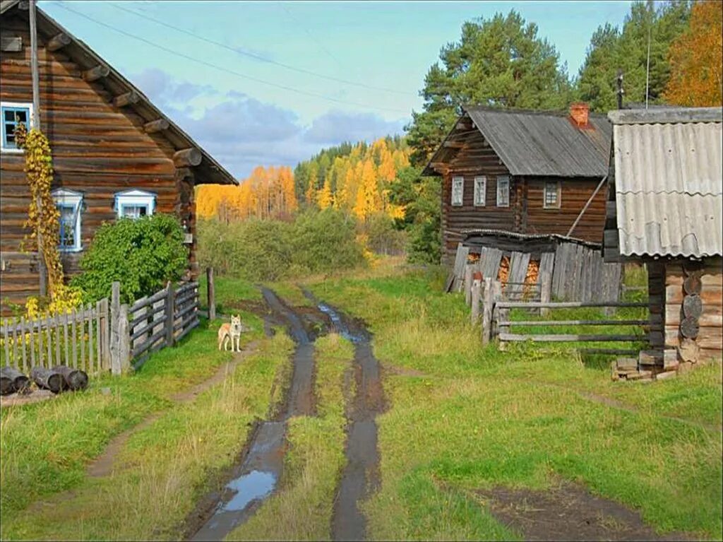 Сколько градусов в деревне. Деревня Еква. Природа деревня. Русские деревни. Осень в деревне.