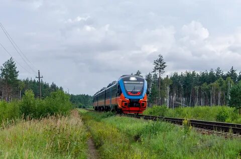 Погода навля брянская область на 3 дня
