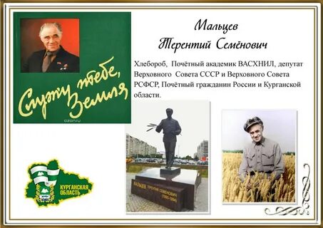 Труд курганская область