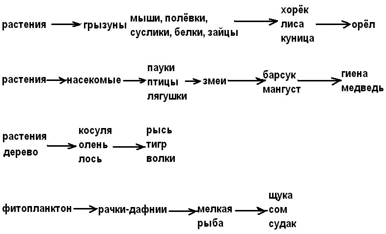 Нектар цветов муха синица цепь. Пищевые Цепочки 9 класс биология. Цепь питания 5 звеньев. Цепи питания 4-5 звеньев. Пищевые цепи 5 класс биология примеры.