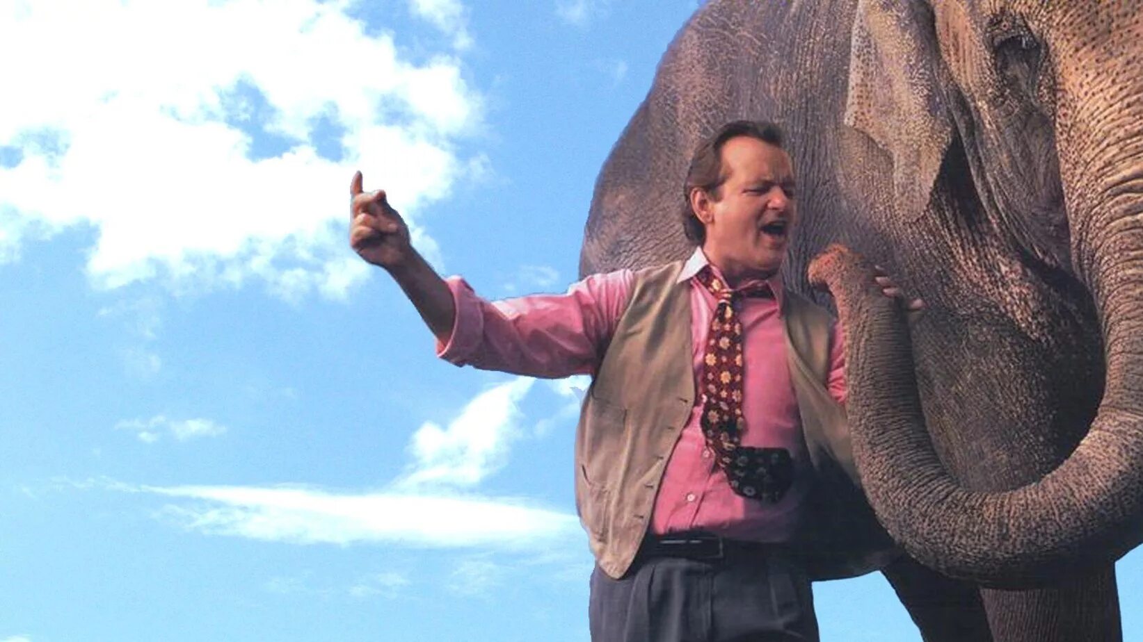 Песня больше чем жизнь. Larger than Life, 1996 Билл Мюррей. Больше чем жизнь (1996) (larger than Life). Билл Мюррей со слоном.