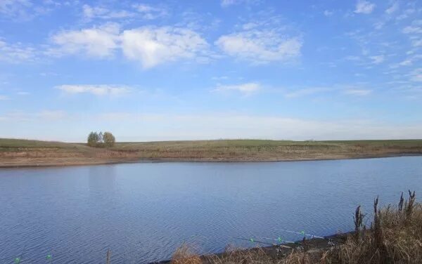 Воронеж пруды верхняя хава. 64 рыбхоз воронеж. Пруд полтинник верхнехавский район. Змеевский пруд воронежская область нижняя маза. Пруд полтора ивана воронежская.