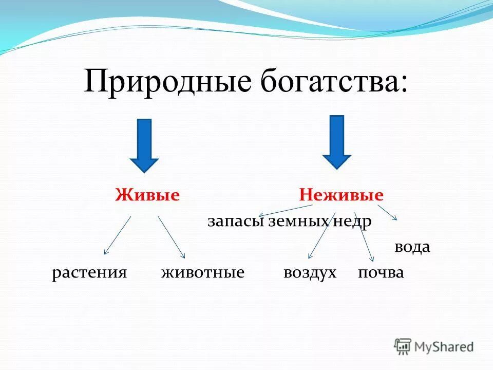 Таблица природные богатства 3 класс окружающий