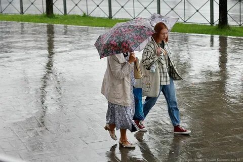 Похолодание в калининграде