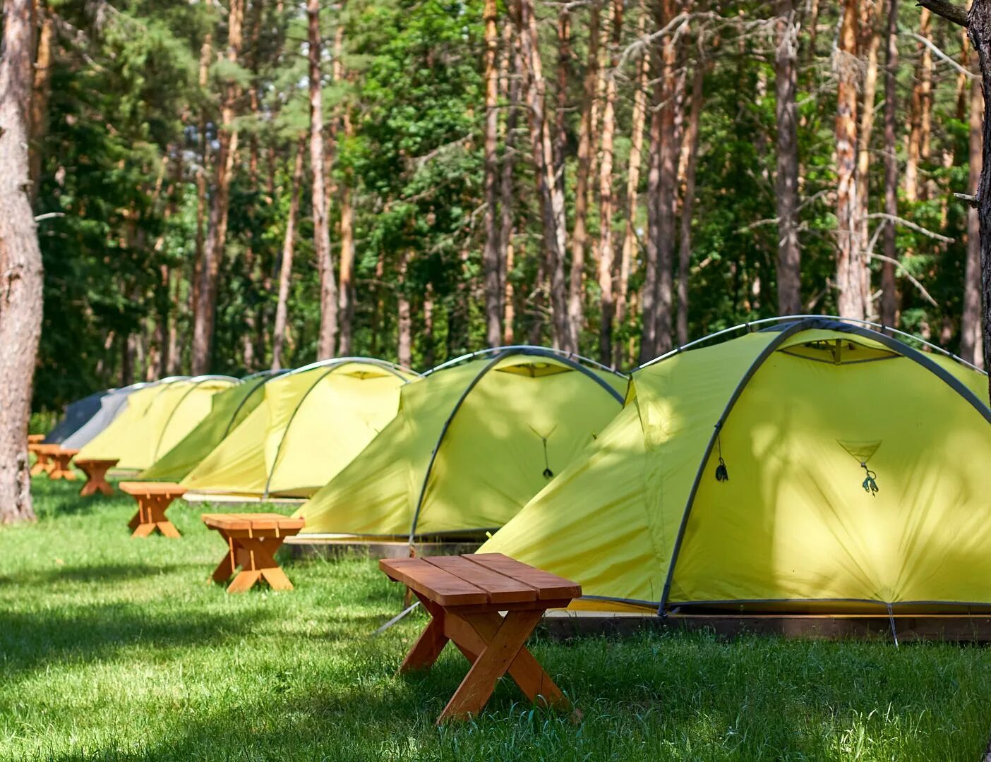 Палатка ronin camp. На турбазе имеется всего 25 палаток. Селигер палаточный лагерь кемпинг. На турбазе имеется всего 25 палаток. Кемпинг финский залив сосновый бор.