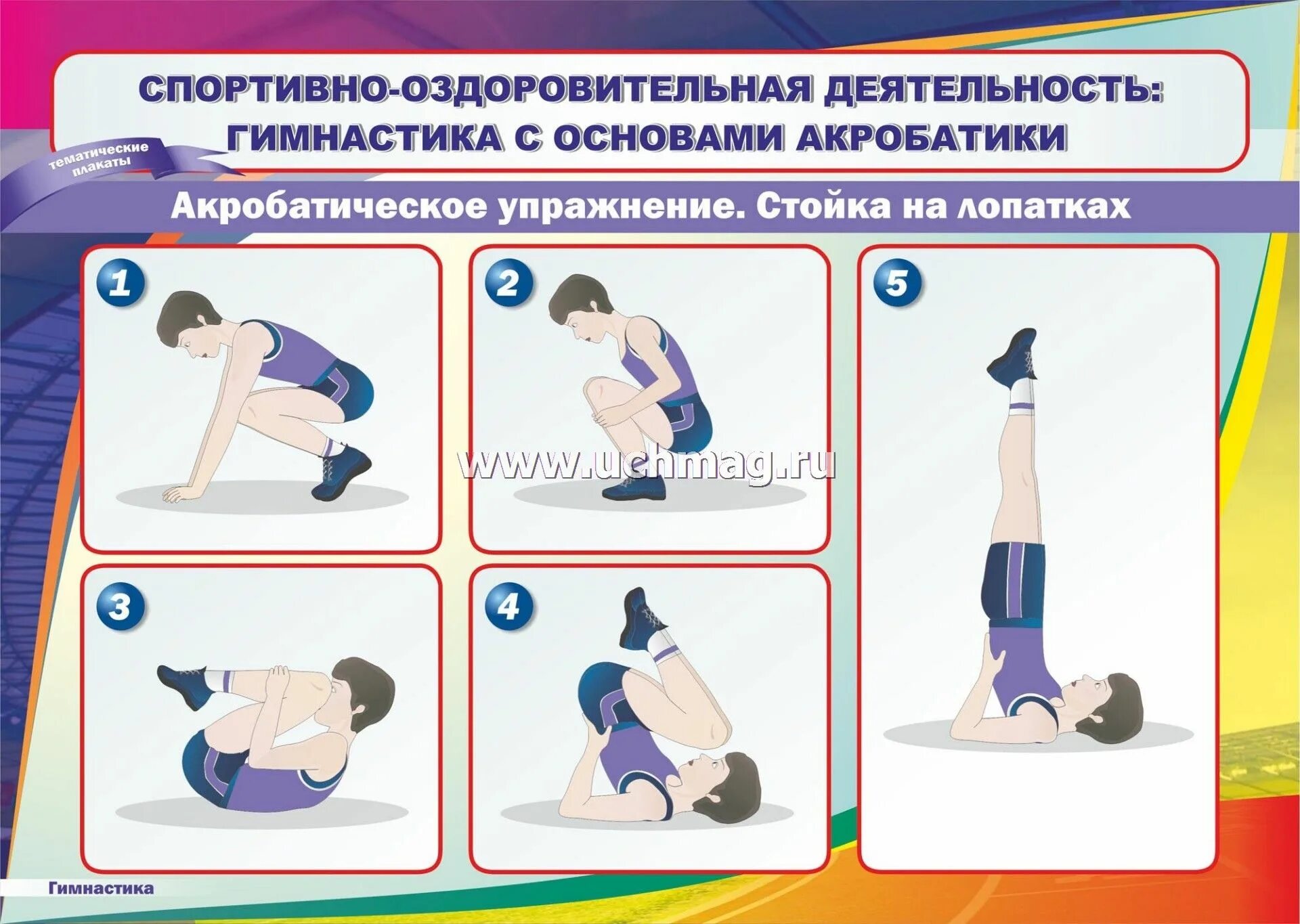 Физкультура наглядность. Принцип наглядности на уроках физической культуры. Наглядности по физической культуре. Ежедневник учителя физкультуры. Киги физической культуры.