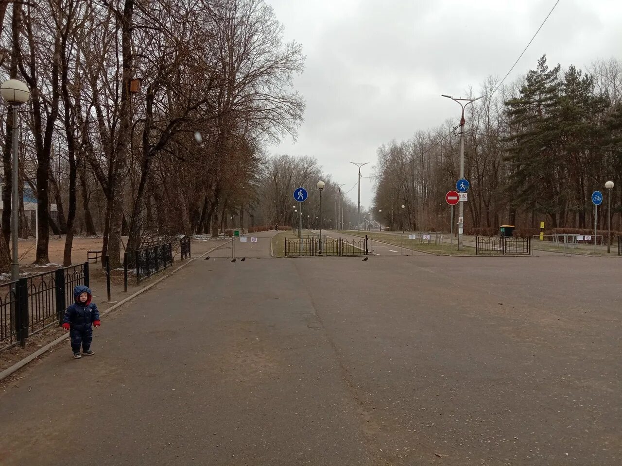 Реадовка телеграмм новости. Реадовка Смоленск. Реадовка ру. Реадовка Смоленск площадка. Открытая площадка парка реадовка Смоленск.