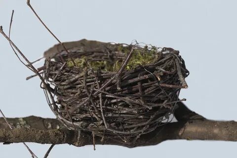 Empty nest