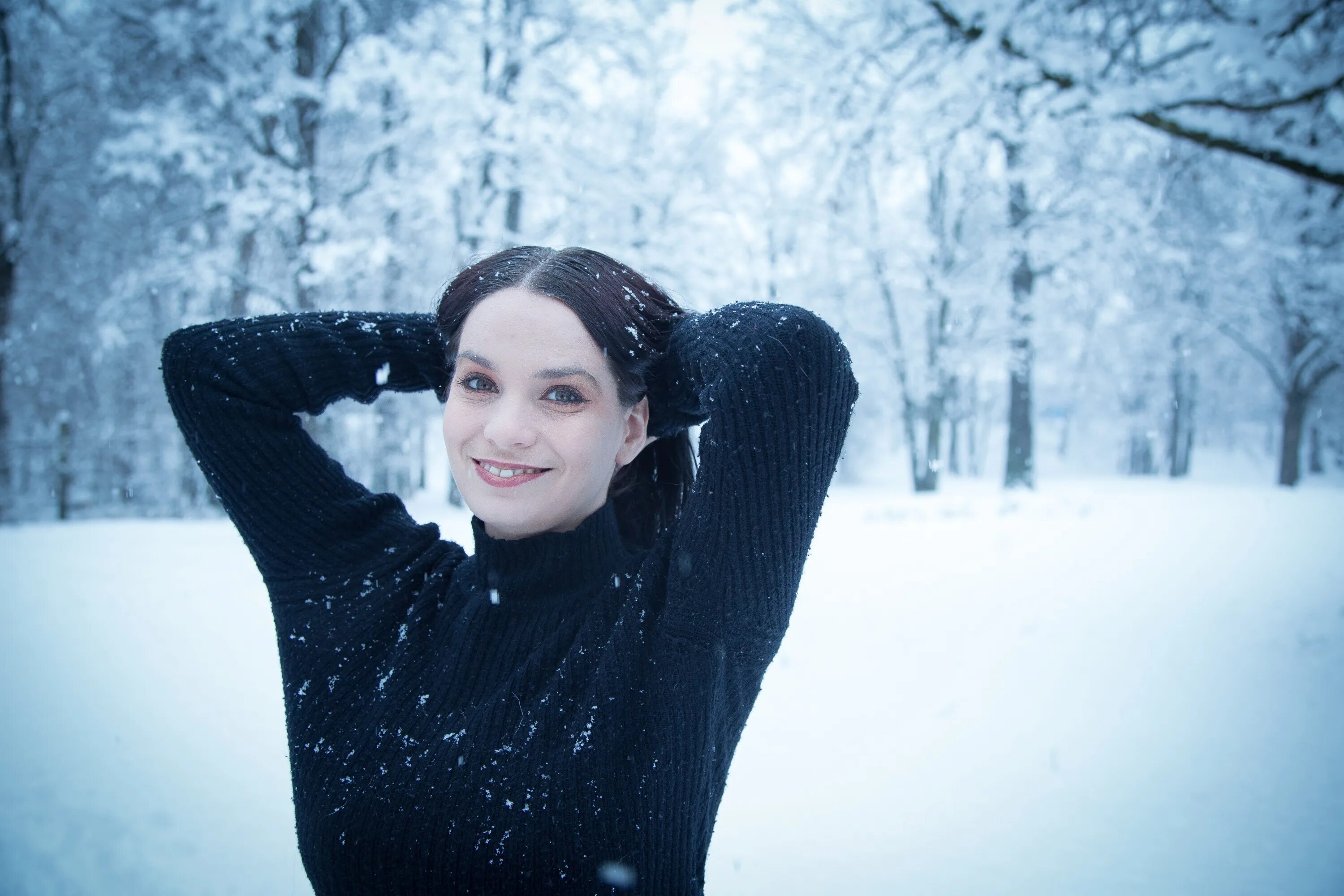 Snow model