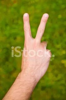 Fingered 2