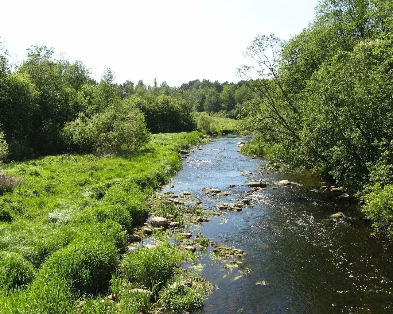 Большая речка. Река голомысовка. Куяда байкал турбаза. Река голомысовка. Река садва.
