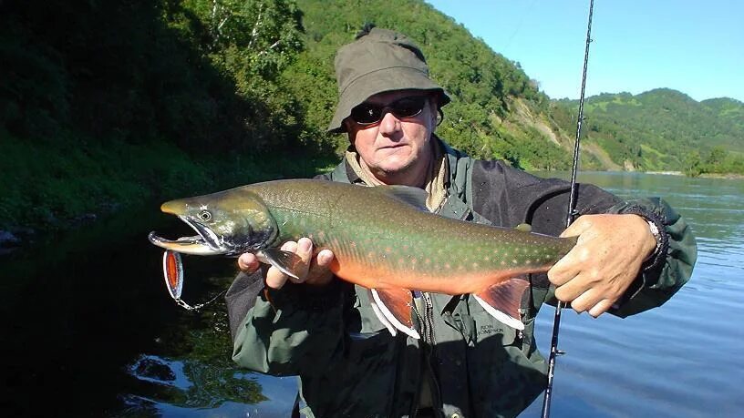 таймень абакан. таймень на реке кан. таймень река абакан. таймень оленгуй. воскодавенко евгений байкит таймень.