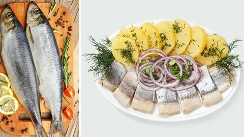 Селедка скумбрия соленая